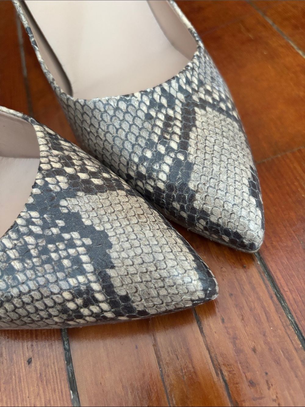 Women's Snake-Print Leather INEZ Pointed Toe Stiletto Pumps - Neutral - Picture 8 of 8